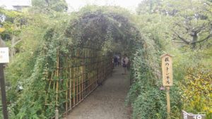 向島百花園 萩のトンネル
