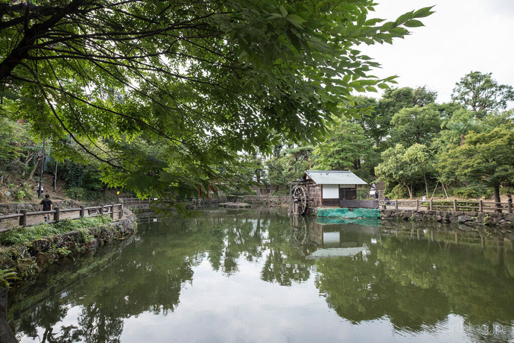 鍋島松濤公園 池と水車小屋